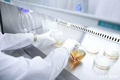 媒體組團探秘麥吉麗研發(fā)工廠，揭秘素顏之美的科技密碼