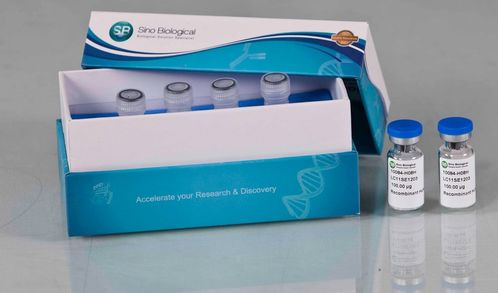 義翹神州以研發(fā)驅(qū)動業(yè)績快速成長,產(chǎn)品深受國際認(rèn)可 需求旺盛