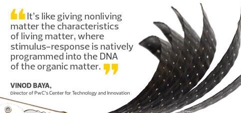 【葉子形狀】葉子形狀價格_葉子形狀批發_葉子形狀廠家